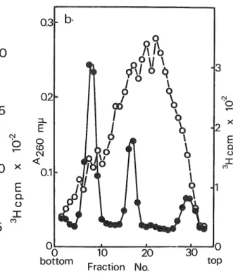 Fig. 2. Sedimentation analysis of RNA obtained from crude nuclei, the pH 7.0 and 8.0 nuclear extracts