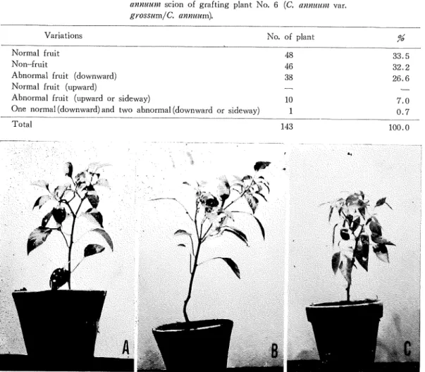 Table 11. Variations as to fruit characters in FI generation of C.
