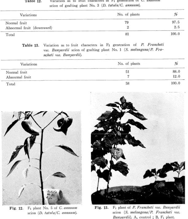 Table 12. Variation as to fruit characters in Fi generation of C. annitttin scion of grafting plant No