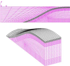 図 7: CHIKAKU MESH により生成された非構造六面 体メッシュ 構造的要素で言えば，現状はプレート上面だけが対 象であるが，断層も対象にする場合には，どのよう なデータ構造が相応しいかを検討する必要がある． また，シミュレーションで用いられる物性情報はメッ シュジェネレータで指定するという前提であるが，本 システムで定義したものがメッシュジェネレータに反 映される仕組みを考えるという方向性も考えられる． いずれにしても，地震学者の方々に本システムを使っ ていただき，改めてヒアリングして改良してい