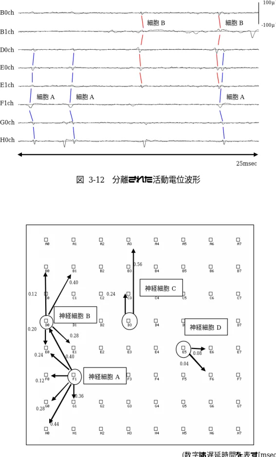 図  3-12  分離された活動電位波形  図  3-13  推定された神経細胞の信号伝搬の様子   神経細胞A神経細胞B神経細胞C神経細胞D0.120.240.400.280.440.360.200.120.400.280.560.040.080.24 (数字は遅延時間を表す[msec]) 25msec-100μV100μVB0chB1chD0chE0chE1chF1chG0chH0ch細胞A 細胞A 細胞A 細胞B 細胞B 