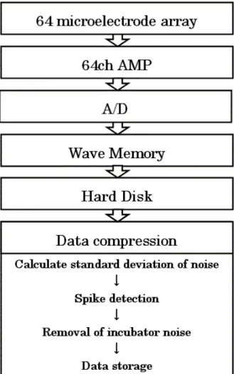 図  4-6  長期活動電位記録システム 