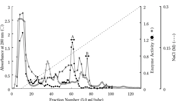 Fig. 1.  TOYOPEARL  CM-650M  column  chromatography  of  abalone  crude  enzyme.  ○,  absorbance  at  280  nm;  ●, man- man-nanase activity; ＊, xylanase activity