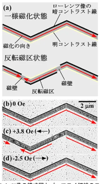 図 2  ローレンツ像の模式図とパーマロイ細線のローレンツ像  (a)   一様磁化状態と反転磁区状態のローレンツ像の模式図  パーマロイ細線内の磁化の向きに従い、細線端に沿って明暗のコントラ スト線が現れる。 コントラスト線がどちらの端にあるか、またその変化を観察すること で、細線内の磁区構造がわかる。 (b)～(d)  パーマロイ細線のローレンツ像  ゼロ磁場と微弱な磁場のもとで電流パルスを加えた後の磁化状態を示 している。 もともとの磁化の向きと逆向きに磁場が加わっている場合、パルス電流 を加えると、