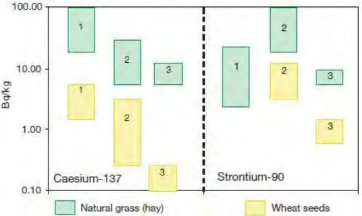 図 3.23.:    土壌から植物【普通の草（Natural grass）と小麦（Wheat seeds）】へ取り込まれた 137 Cs【左】