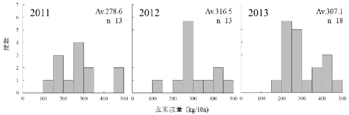 図 2.1  2011，2012，2013 年の自然栽培水田の玄米収量． 