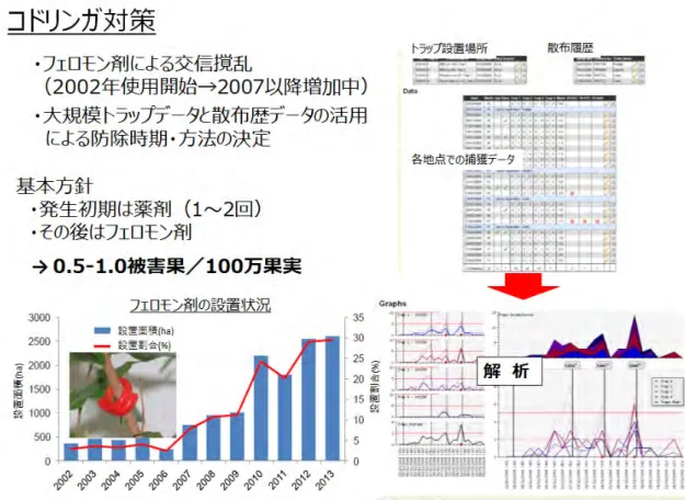 図 23  選果場での果実洗浄 