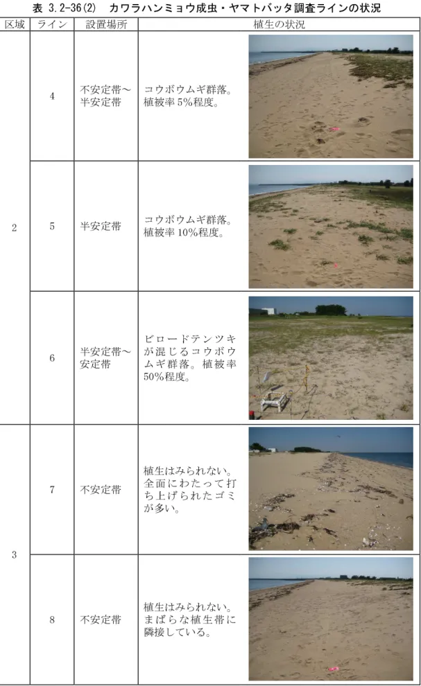 表 3.2-36(2)  カワラハンミョウ成虫・ヤマトバッタ調査ラインの状況  区域  ライン  設置場所  植生の状況  2  4  不安定帯～ 半安定帯  コウボウムギ群落。植被率 5％程度。 5 半安定帯 コウボウムギ群落。 植被率 10％程度。  6  半安定帯～  安定帯  ビロ ードテンツ キが混 じるコウボ ウムギ 群落。植被 率 50％程度。  3  7  不安定帯  植生はみられない。全面 にわたって 打ち上 げられたゴ ミが多い。  8  不安定帯  植生はみられない。まば らな植生帯 