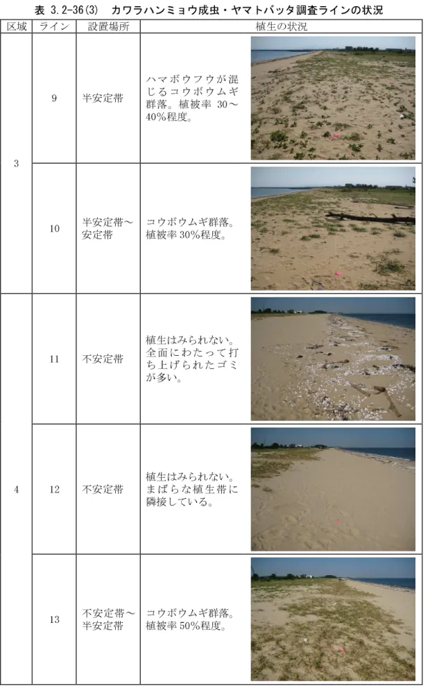 表 3.2-36(3)  カワラハンミョウ成虫・ヤマトバッタ調査ラインの状況  区域  ライン  設置場所  植生の状況  3  9  半安定帯  ハマ ボウフウが 混じる コウボウム ギ群落。植被率 30～40％程度。  10  半安定帯～  安定帯  コウボウムギ群落。植被率 30％程度。  4  11  不安定帯  植生はみられない。全面 にわたって 打ち上 げられたゴ ミが多い。 12 不安定帯 植生はみられない。まば らな植生帯 に 隣接している。  13  不安定帯～ 半安定帯  コウボウムギ群