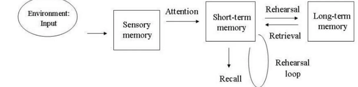 図 14  The multi store model (Atkinson, &amp; Shiffrin  ，1968 に基づき作成) 