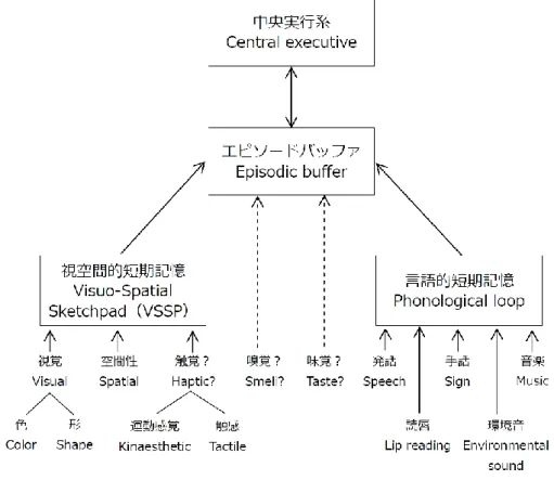 図 15  A speculative view of the flow of information from perception to working memory