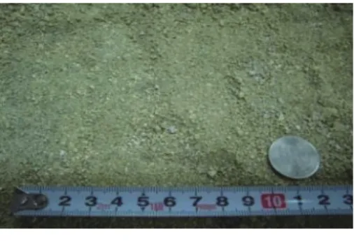Fig. 5.Back pressure and principal stress difference Table 2. Physical properties of test sand