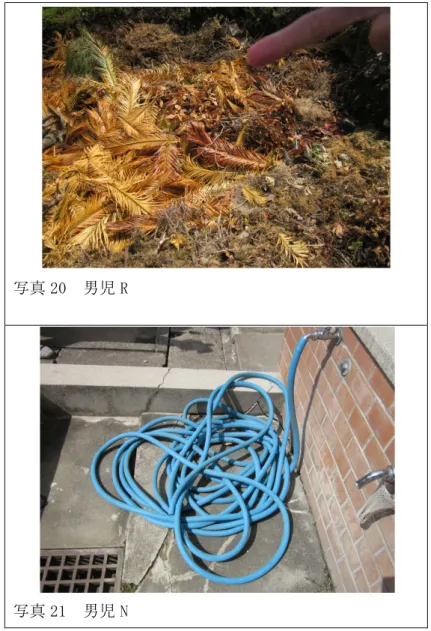 図 17  ぐちゃぐちゃを撮影したグループの写真  
