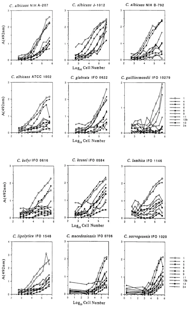 Fig. 2-1.  Cell-ELISA for Candida Species Strain Cells with Factor Sera