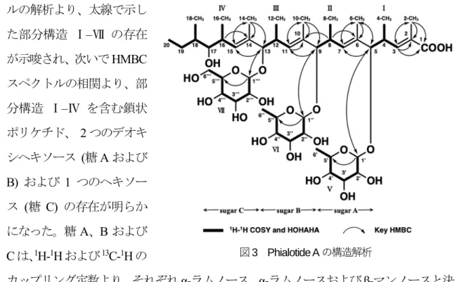 図 3  Phialotide A の構造解析