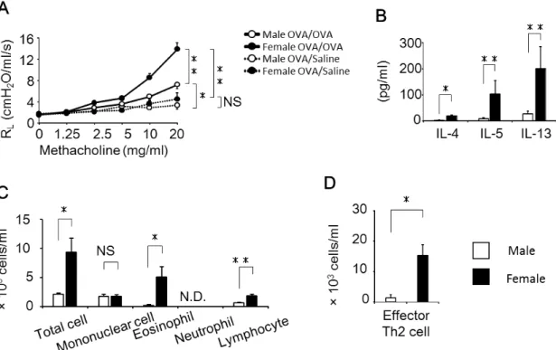 Figure 1. Sex-based differences in airway inflammation. 