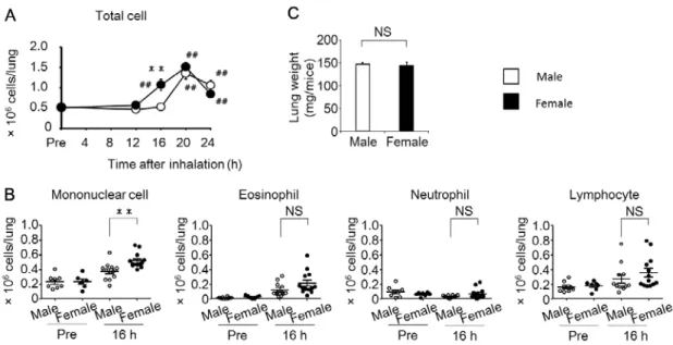 Figure 2. Sex-based differences in inflammatory cell infiltration in the lung.   (A) The  number of white blood cells in the mice lungs were counted before (Pre) and 12, 16, 20,  and 24 h after (Post) ovalbumin (OVA) challenge