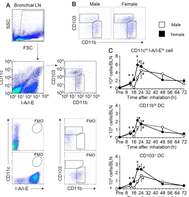 Figure 7. Sex-based differences in the number of DCs in the bronchial lymph node.  (A)  Flow cytometric gating for SSC low  CD11c hi I-A/I-E hi  DCs from bronchial lymph nodes  (BLNs)  of  mice