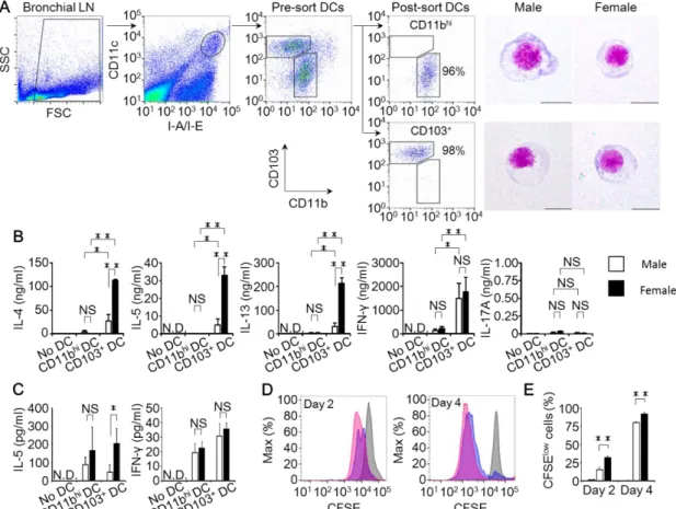 Figure 8. Sex-based differences in T cell differentiation promoted by BLN DCs. (A)  Purity of sorted BLN CD11b hi   DCs and CD103 +   DCs