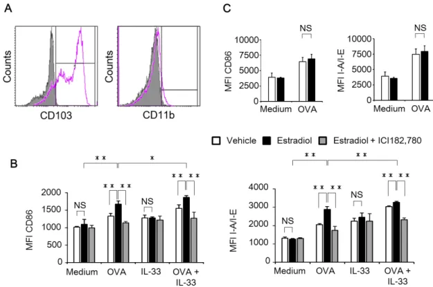 Figure 10. 17β-estradiol enhances the expression of CD86 and I-A/I-E on bone CD103+ 