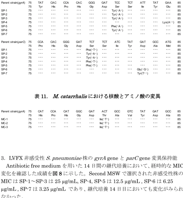 表 表