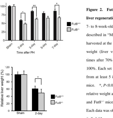 Figure  2.    Fut8  expression  was  required  for  liver regeneration after PH.   