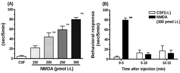 Fig. 1 The nociceptive behavioral responses induced by  NMDA given i.t.. in mice. (A)  Groups of mice were treated i.t