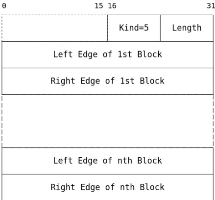 図 9 SACK オプション