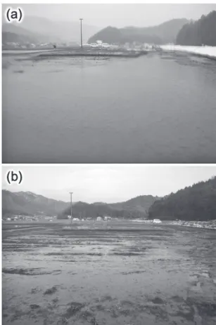 Fig.  1 .  Maps  of （ a ） the  study  site  and （ b ） the  study  biotope. 