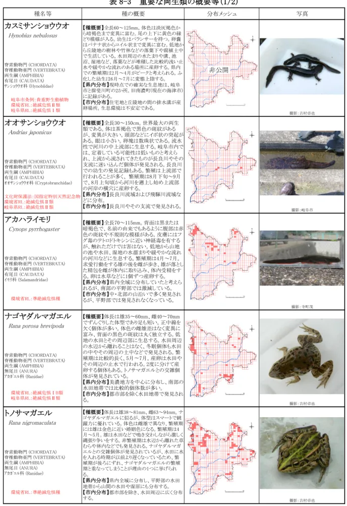 表 8-3  重要な両生類の概要等(1/2)  種名等 種の概要 分布メッシュ 写真 カスミサンショウウオ 　 Hynobius nebulosus 脊索動物門 (CHORDATA) 脊椎動物亜門 (VERTEBRATA) 両生綱 (AMPHIBIA) 有尾目 (CAUDATA) ｻﾝｼｮｳｳｵ科 (Hynobiidae) 撮影：吉村卓也 オオサンショウウオ 　 Andrias japonicus 脊索動物門 (CHORDATA) 脊椎動物亜門 (VERTEBRATA) 両生綱 (AMPHIBIA) 有尾目