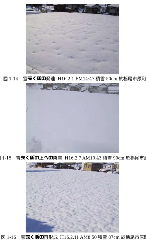 図 1-14  雪えくぼの発達  H16.2.1 PM14:47 積雪 50cm 於栃尾市原町  図 1-15  雪えくぼの上への降雪  H16.2.7 AM10:43 積雪 90cm 於栃尾市原町  図 1-16  雪えくぼの再形成  H16.2.11 AM8:50 積雪 87cm 於栃尾市原町  図 1-11〜14 は平成 16 年 2 月 1 日の朝、積雪が 50cm の時に雪えくぼが発生し成長す る過程を捉えた写真である。雪えくぼの間隔は、2〜3m に達しており長い。その後、4 日 に 16cm、 