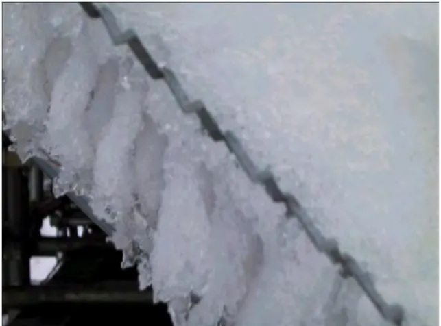 図 1-33  エキスパンドメタルを 45°傾斜させて行った実験  ―ｴｷｽﾊﾟﾝﾄﾞﾒﾀﾙから新雪が垂れ下がった様子  H14.2.16―  この問題を解決するためエキスパンドメタルを図 1-33 に示した如く 45°以上傾斜させて 設置すると、新雪の降雪時に雪の垂れ下がりが再現できた。しかし、その部分が融け、底 面のざらめ雪化が進むと、殆ど見られなくなった。しかし、エキスパンドメタルを傾斜さ せると融雪水の落下が促進されるため、融雪水が再凍結してしまう現象は少しばかり見ら れる程度に納まり、大変融雪効率