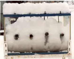 図 2-3  更に雪が降り積もりパイプが埋もれ空洞が変化している様子  H9.2.22 
