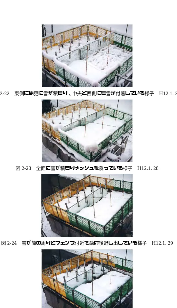 図 2-22  東側には更に雪が積もり、中央と西側にも雪が付着している様子  H12.1. 26 