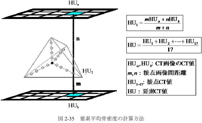 図 2-35  要素平均骨密度の計算方法 