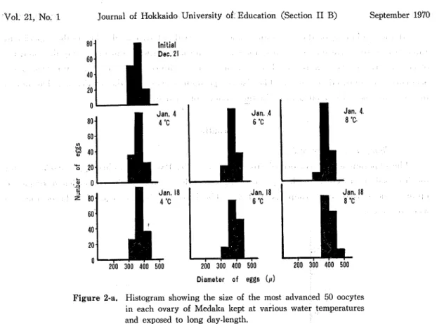 Figure 2-b. Histogram showing the size of the most advanced 50 oocytes in each ovary of Medaka kept at various water temperatures and exposed to long 
