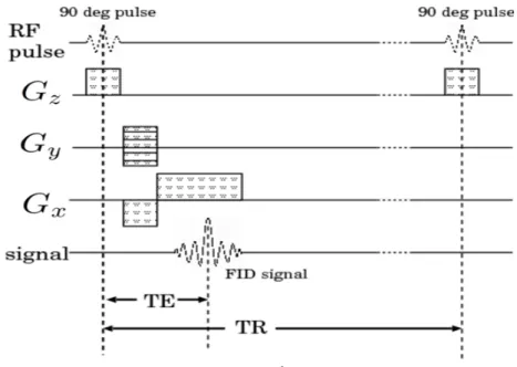 表 3.1: TR 時間と TE 時間の組み合わせ 短い TE 時間 長い TE 時間 短い TR 時間 T 1 強調画像 使用されない 長い TR 時間 プロトン密度強調画像 T 2 強調画像 グラディエントエコー法 GRE 法のパルスシーケンスを図 3.11 に示す。 GRE 法は、図 3.12 に示すように、 RF パ ルスを印加した後、 FID 信号の出ている間に x 方向と y 方向に傾斜磁場を印加する。一定 時間後に、 x 方向の磁場を反転させると、 NMR 信号を取得することができる。 GRE