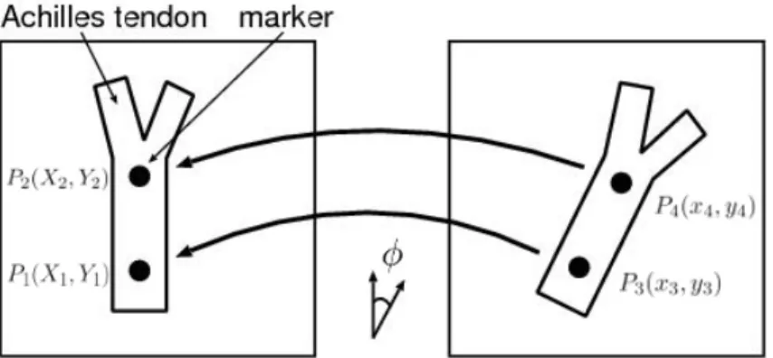 図 5.3: 画像の位置合わせ 5.4 モデル式の構築 3.3 節で述べた T 2 緩和時間の角度依存性と MRI 装置で取得される FID 信号強度の局所磁 場による影響から、本手法で用いるモデル式の構築を行う。 FID 信号は、 MRI 装置の受信コイル内に発生する磁場強度の時間変化になるので、起電 力 v と磁場 H 、磁化 M の関係は、受信コイルが非磁性体であるために、真空の透磁率 µ 0 、 磁化率 χ 、コイルの巻数 n を用いて次の式 (5.2) となる。 v = −µ 0 (1 + χ)n