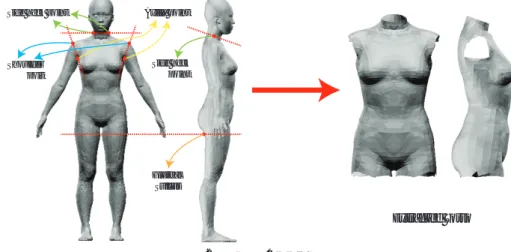 Fig. 2 Torso extraction from whole body model
