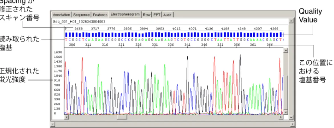 図 3-7 「 Electropherogram 」ビュー内に表示された単一のサンプル 図 3-8 「 Electropherogram 」ビュー内に表示された複数のサンプル 注： サンプルのペインの高さを低くすると、より多くのサンプルを同時に表示できるように なります。詳細については、第 9 章 「 Display Settings 」を参照してください。 この位置における塩基番号Quality Value 読み取られた塩基正規化された蛍光強度Spacingが修正されたスキャン番号 個別のサンプルを表示す