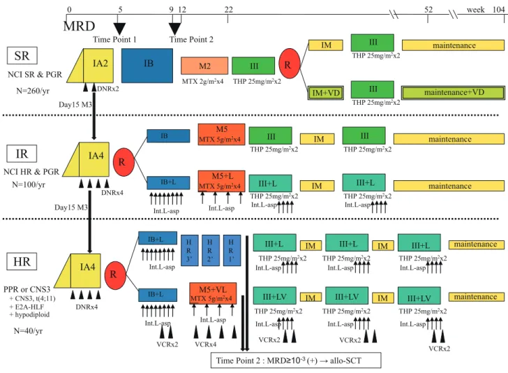 図 3　JPLSG ALL- B12 Protocol