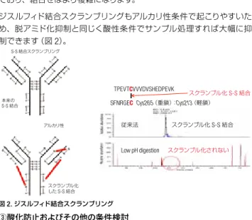 図 3.  Rapid Digestion Kit  によるインシュリンの消化