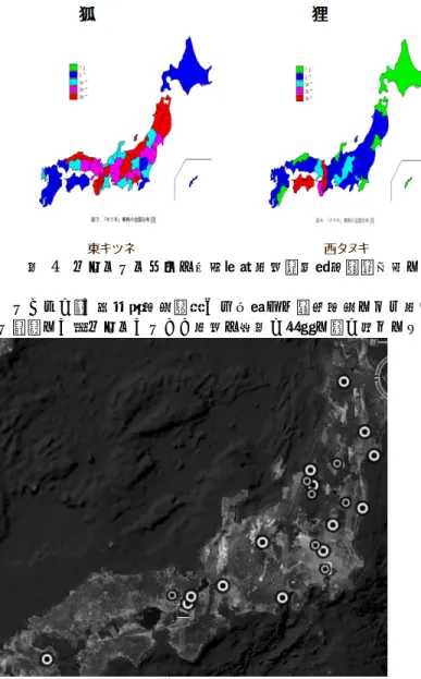 図 4 タヌキとキツネの伝承発生分布（山田奨治氏作成による） ところが，『大日本地名辞書』を使用した歴史地名による分布の検証に重ねてみる と，逆に「東タヌキ」という分布の構図が明確に浮き彫りになる 14 ． 図 5 『大日本地名辞書』に見るキツネ（大円）とタヌキ（小円）の分布 （ Google Earth 使用）．タヌキの付く地名は全体的に東に集中している この分布を裏付ける事例として，東にあるタヌキの名所には，童謡「證誠寺の狸ば やし」の舞台の證誠寺（千葉県木更津市）や分福茶釜の茂林寺（群馬県館林市堀工町