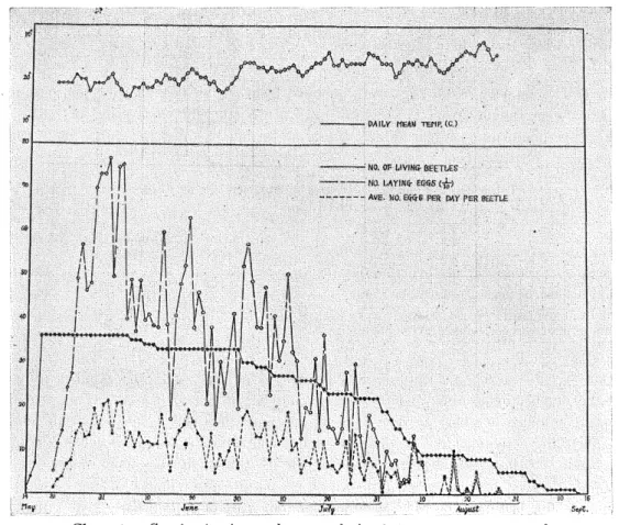 Table 6. Egg-laying activities in 32 specimens of Catapiomt.s gracilicornis (1955).