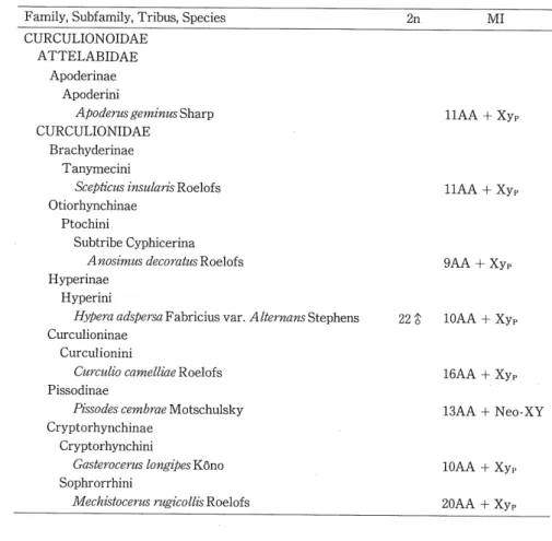 Table 1. Summary of chromosome determinations in 8 Japanese weevil species.