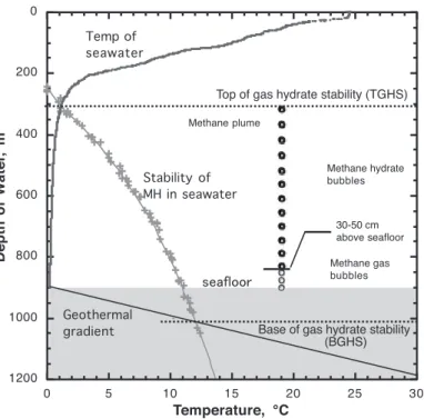 Fig. 11　 Diagram showing the stability of methane hydrate in the seawater column  and the behavior of methane plume