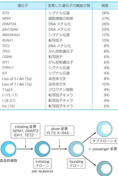 表 1 AML における遺伝子変異の頻度