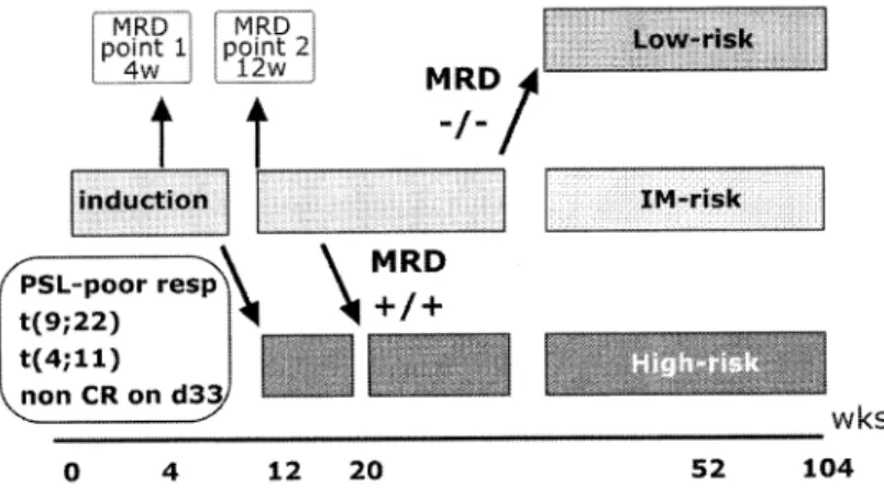 Fig.  6  Therapeutic  protocol  of  BFM  and  BM  sampling  points  for  MRD  analysis