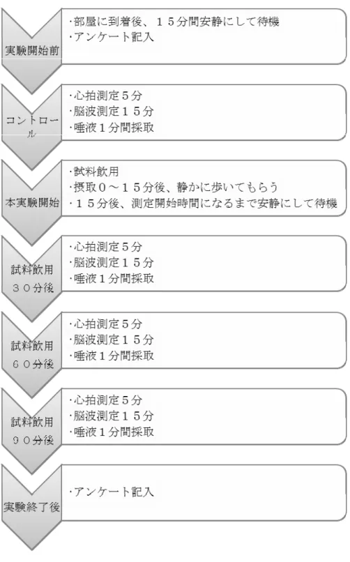 図 1.実験のスケジュール 