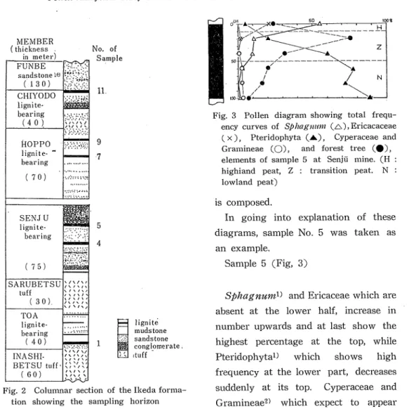 Fig. 3 Pollen diagram showing total frequ- frequ-ency curves of Sphaginun (A),Ericacaceae (x), Pteridophyta (A), Cyperaceae and Gramineae CO), and forest tree (•), elements of sample 5 at Senju mine